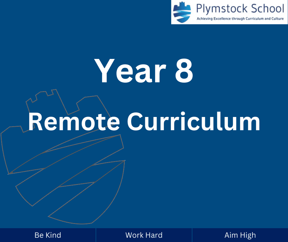 Year 8 Remote Curriculum